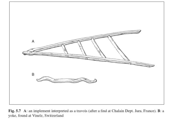 Dawne nosze: Jak ratowano rannych? Historia i ciekawostki sprzętu