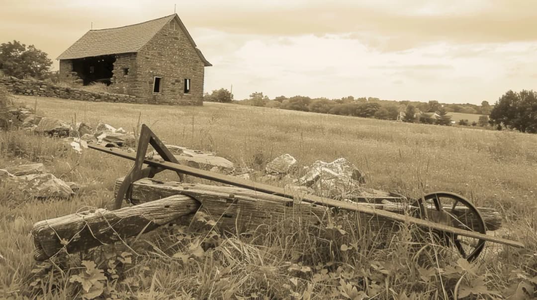 Dawny pług: Jak zmieniał się przez wieki? Historia i ciekawostki