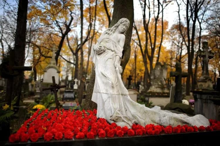 Cmentarz Wawrzyszewski: Najstarsza nekropolia Warszawy. Historia